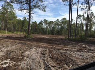 NE 130th Court Rd, Ft McCoy, FL 32134