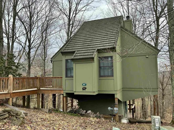 97 Grizzly Way, Davis, WV 26260