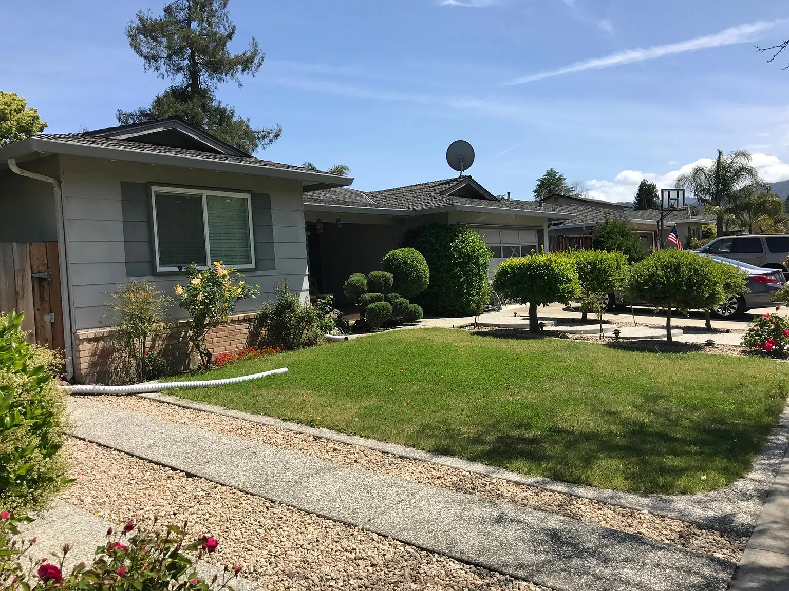 Firefly Dr., San Jose — Photo 1