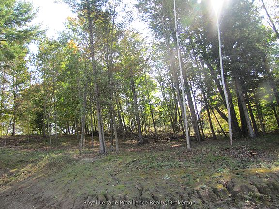 5th image of 1054 Centre Line Rd
