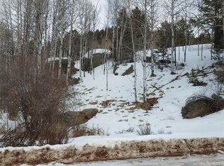 19 S Pinon Cir, Florissant, CO 80816