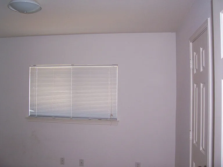 313 Edgewood Cv — Photo 13