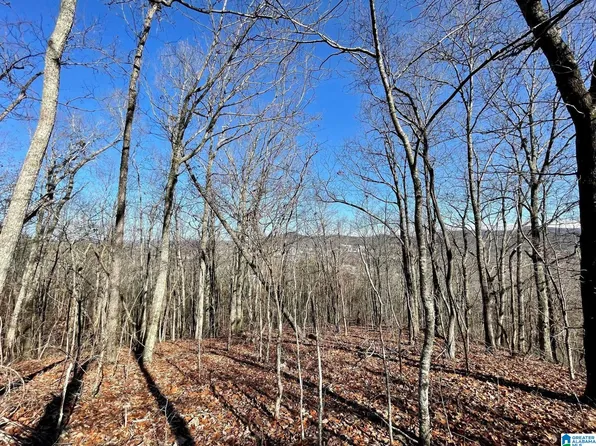 0 W 3rd St #1, Anniston, AL 36201