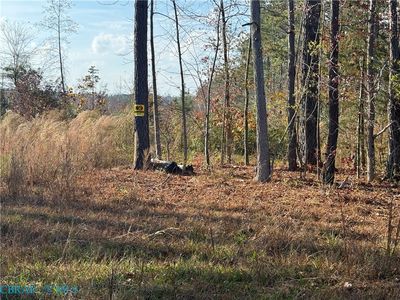 40-114A Flat Rock Rd, Crewe, VA, 23930