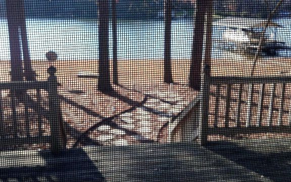 3rd image of 261 Bradley Dr
