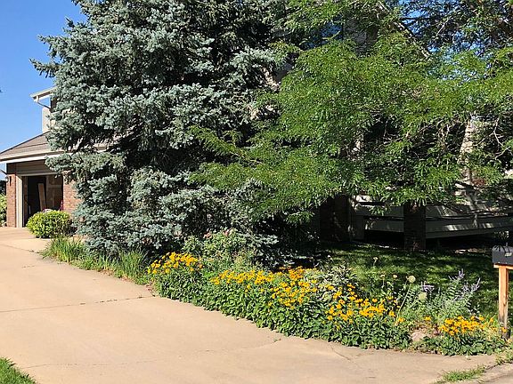 Beautiful foliage