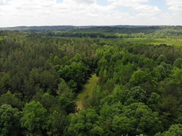 2420 Onrow Tubbs Rd, Marion, AL 36756