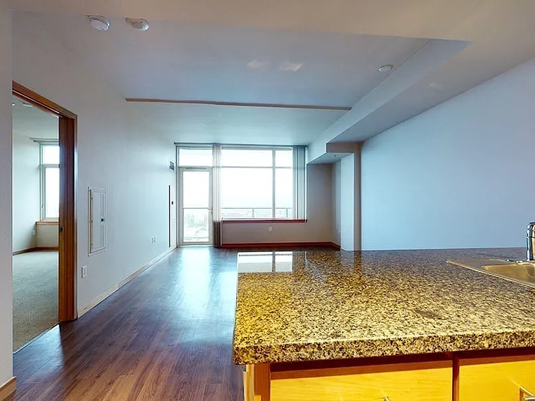 Apartment living room with wood-style flooring.