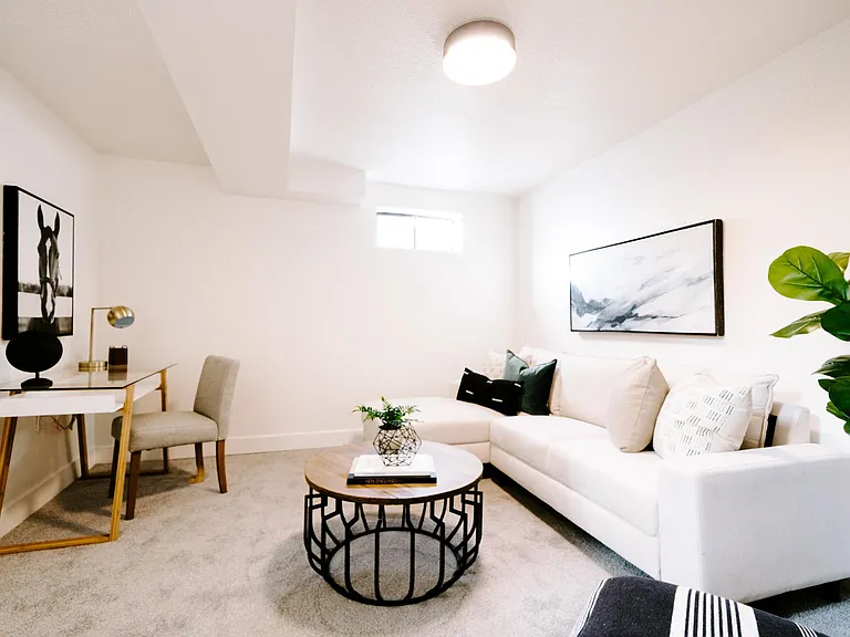 Downstairs Family room