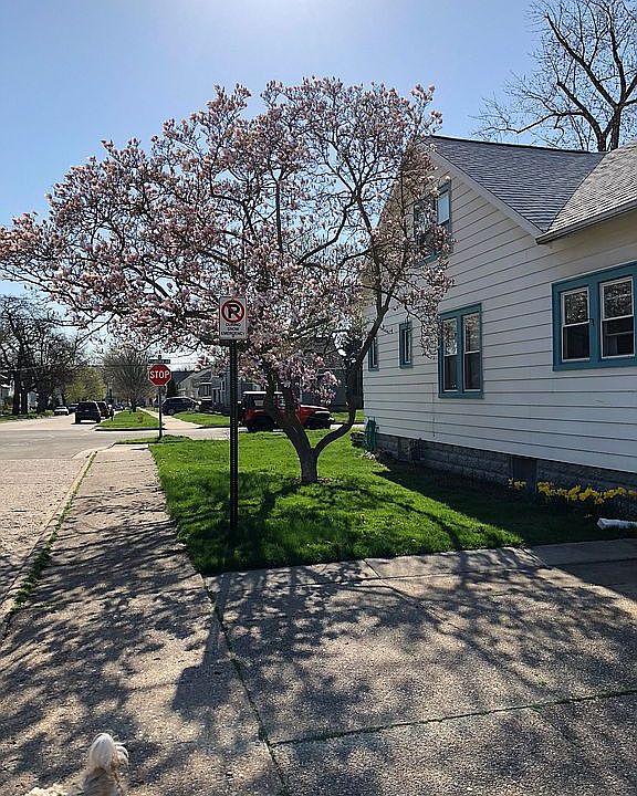 2nd image of 1704 Lakeview Ave