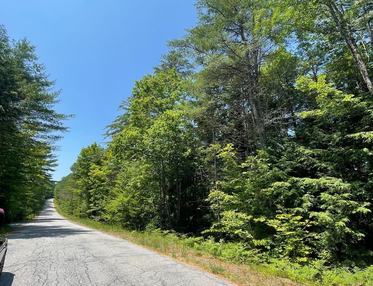 L.38 Forest Lake Road, Warrensburg, NY 12885 MLS 202320100 Zillow