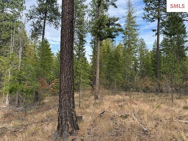 1st image of Nna 451a Jachetta Rd