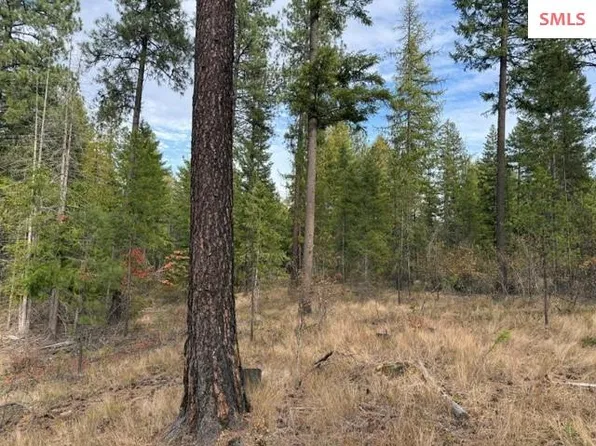 Nna 451a Jachetta Rd, Priest River, ID 83856