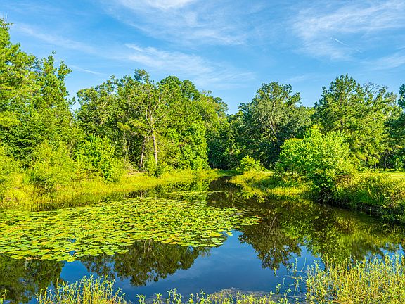 155th image of this home