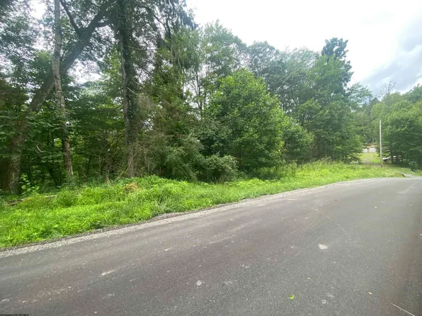 Limestone Rd, Parsons, WV 26287
