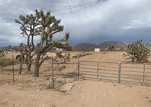 2nd image of 26726 N Sandy Point Drive