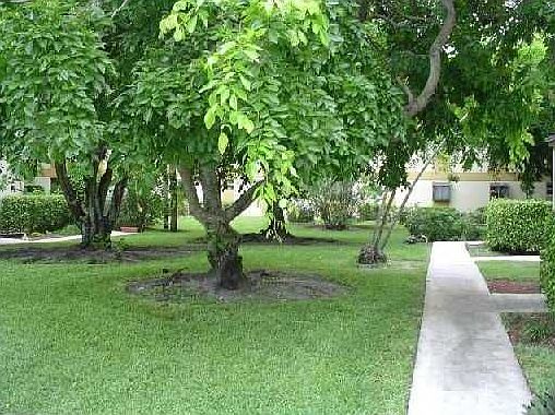 3rd image of 610 Gardens Dr APT 103