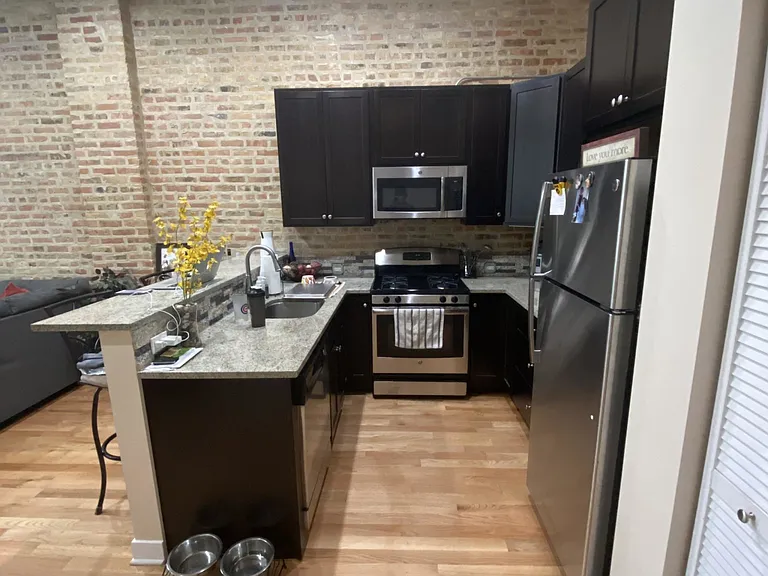 683 N Milwaukee Ave #305 — Photo 4