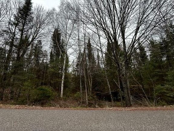 4th image of On Timber Wolf Rd