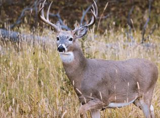 TRACT Three 0 Aughwick Rd, Burnt Cabins, PA 17215