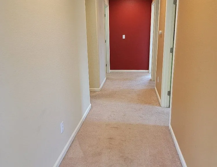 1504 Guzzetti Way — Photo 13
