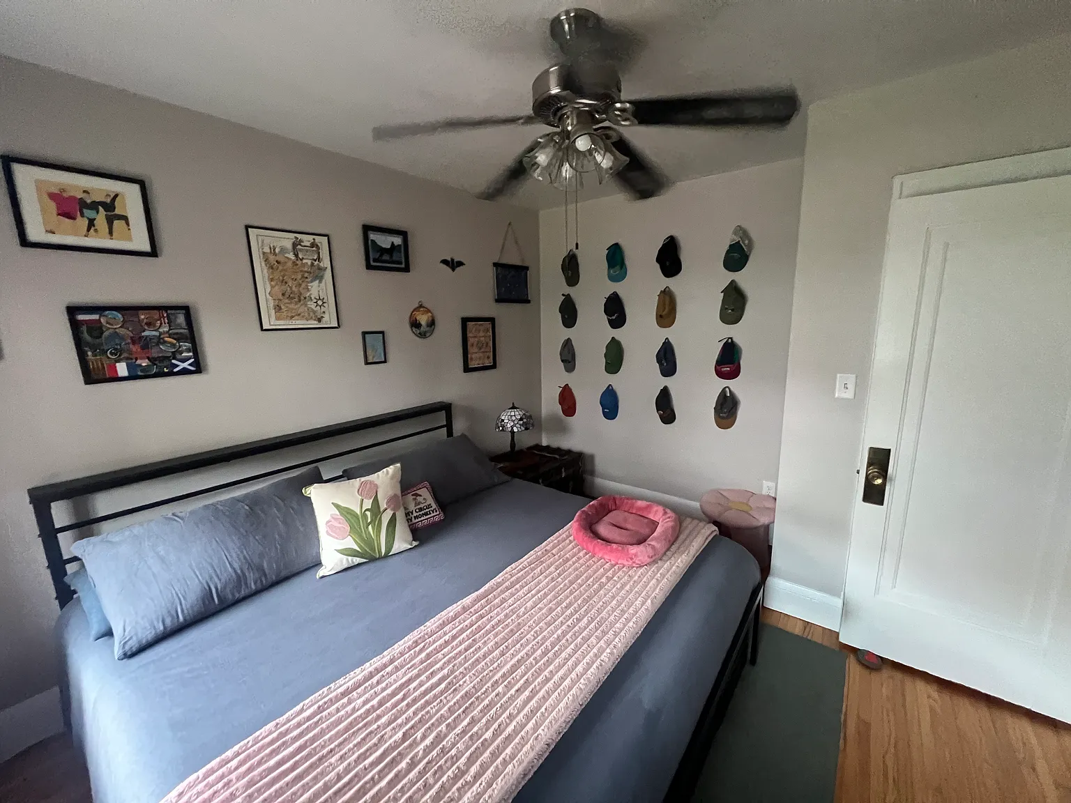 1 bed, 800 sqft, $1,490 — Photo 2