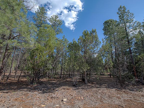 5th image of 4001 W Ninebark Ln
