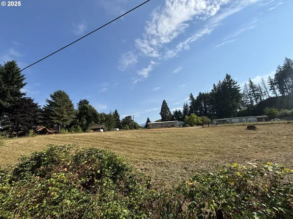 Wilkinson St, Carson, WA 98610