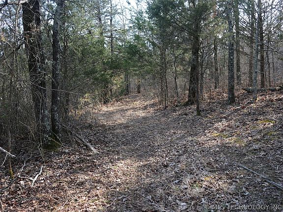 2nd image of Kirk Mountain Rd