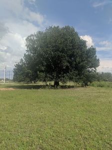 18531 Green Meadow Rd, Fort Myers, FL, 33913