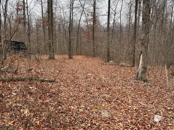 1 Fox Run Ln, Edinburg, VA 22824