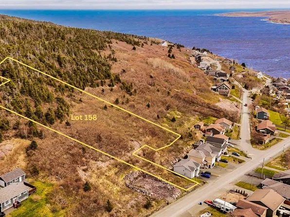 158 Main Road, Petty Harbour - Maddox Cove, NL A0A3H0