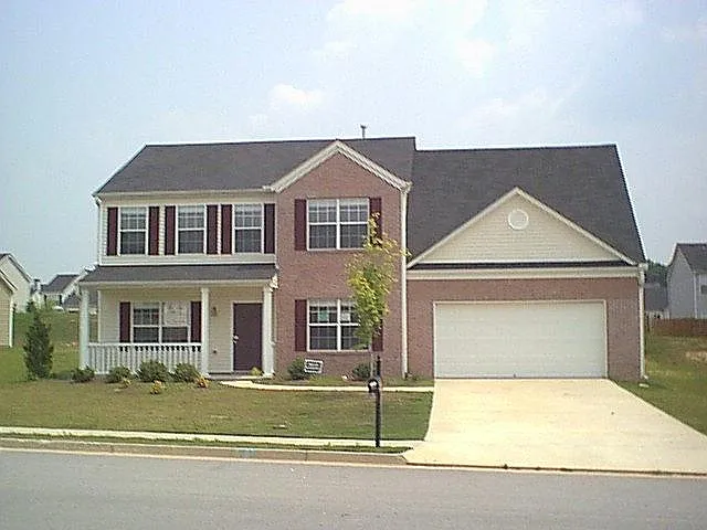 3157 Striped Maple Cv photo 1