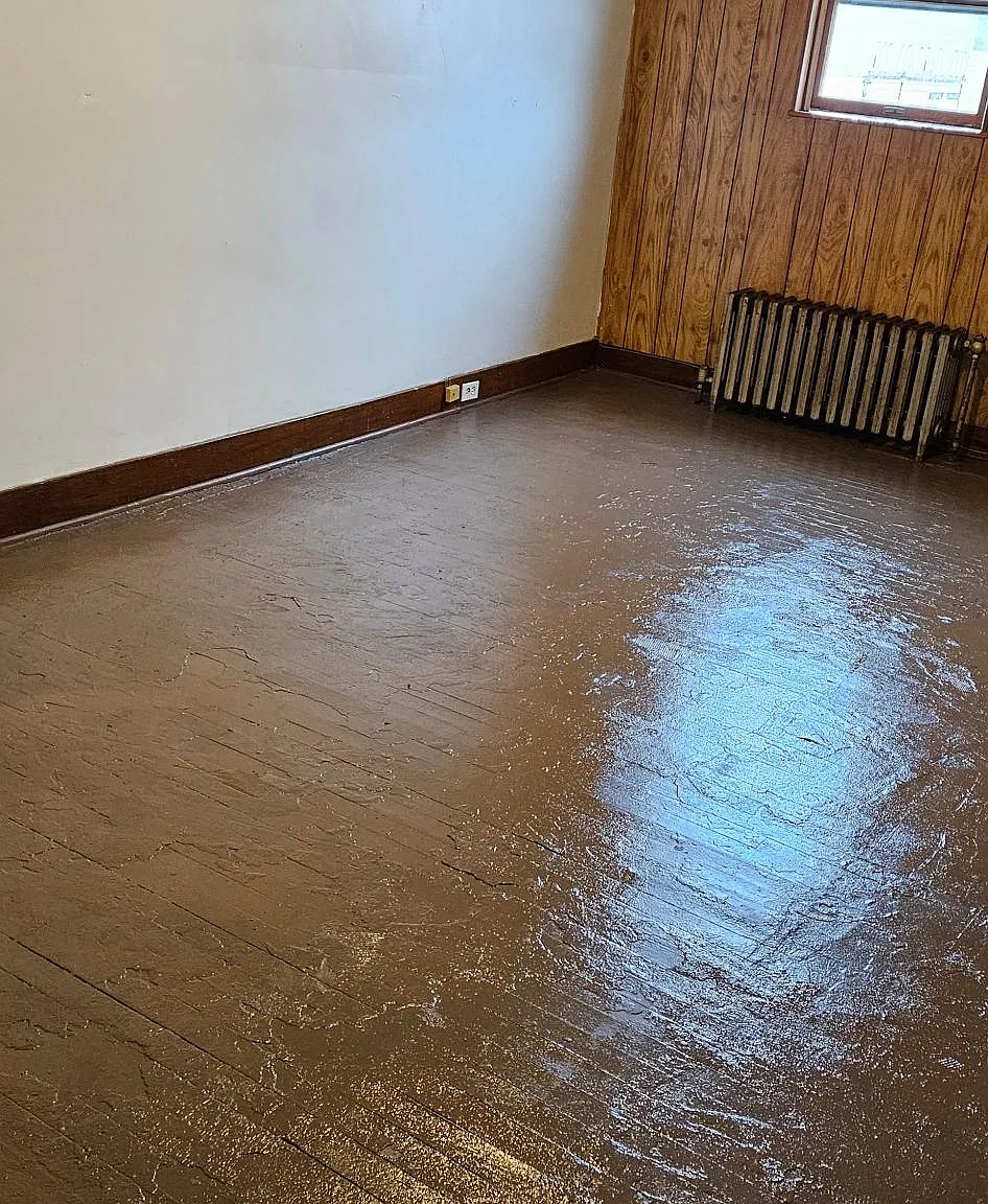 1 bed, $650 — Photo 3