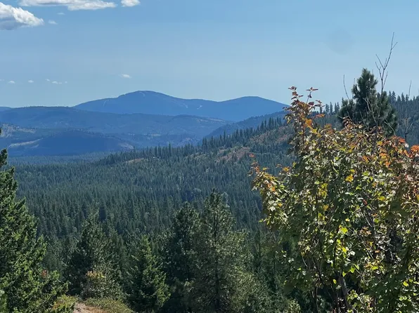 Xxxx Deer Valley Rd, Newport, WA 99156