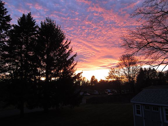 View out back