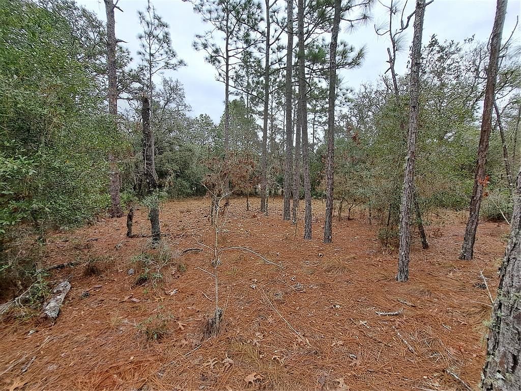 33124 Easter Dr #4, Webster, FL 33597 | Zillow