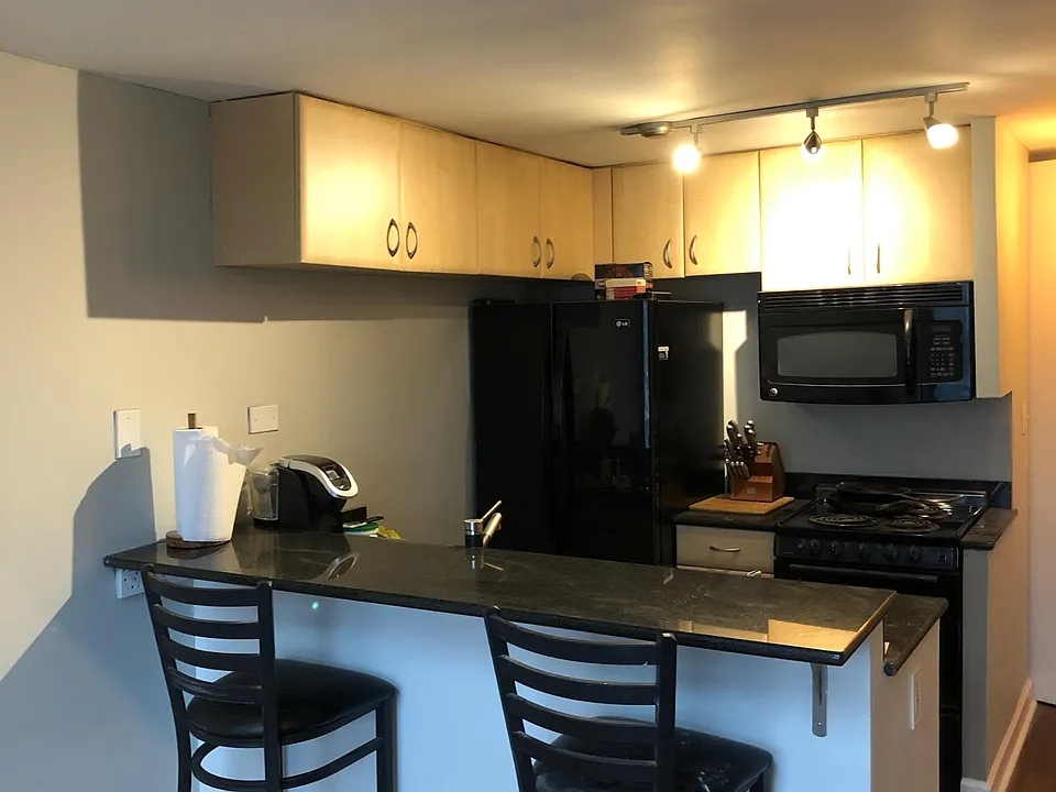 1221 N Dearborn St #1012S
