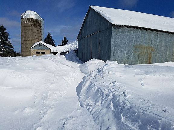 machine shed/cow barn/silo