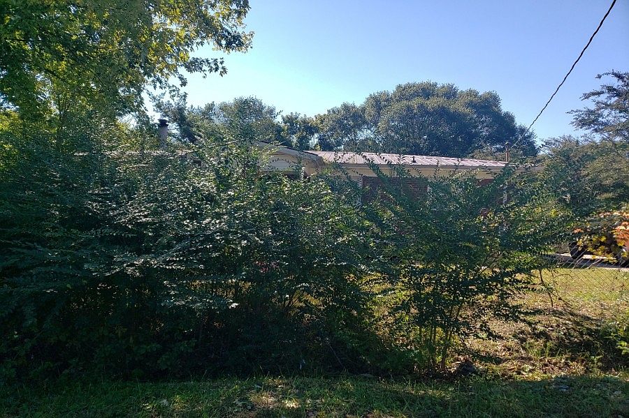 1st image of 230 Morgan St