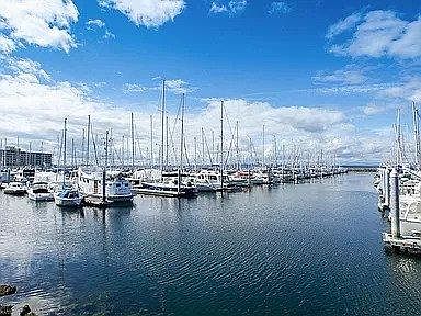 Beautiful Shilshole Bay Marina across the street