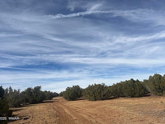 4th image of 8526 Lake Ridge Rd