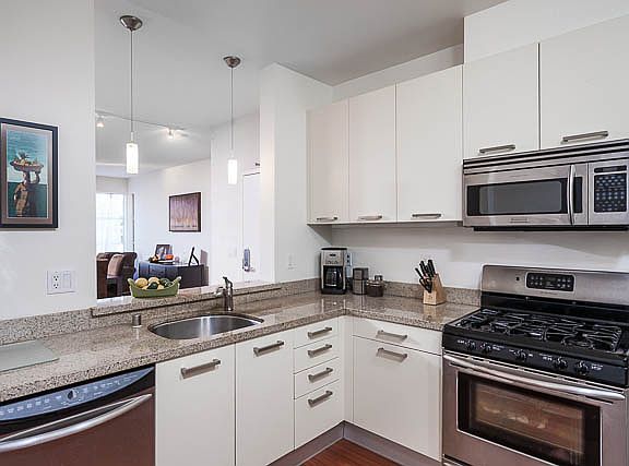 Large gourmet kitchen