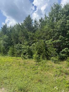 Lot 34 RED TAIL HAWK DRIVE, Stevens Pt, WI, 54482