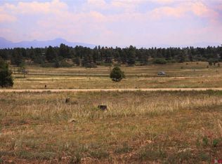181 Prospect Blvd, Pagosa Springs, CO 81147