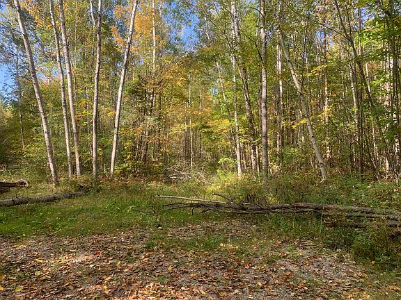 3rd image of E West Branch Rd