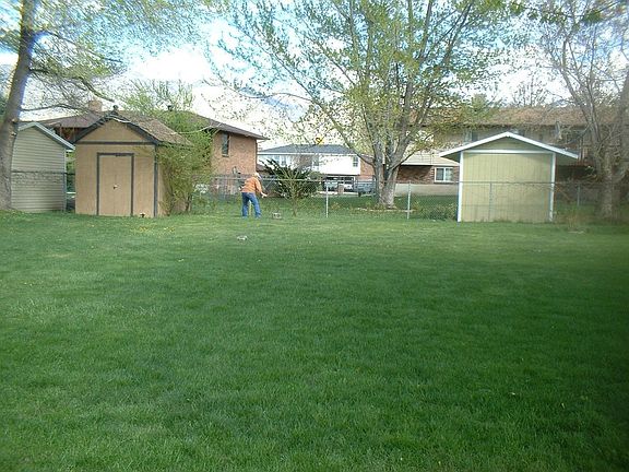 Back yard