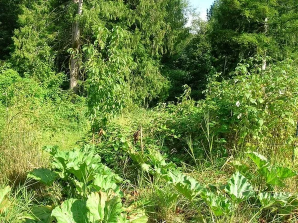 0 N Shore Ln, Concrete, WA 98237