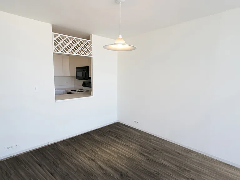 Dining/Living room