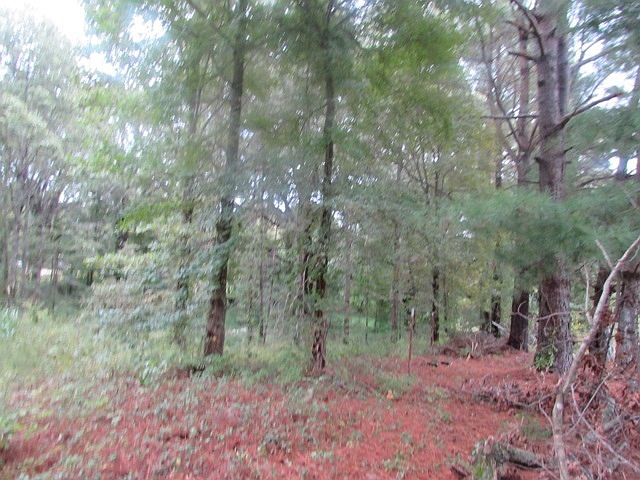 2nd image of 570 Fisher Rd